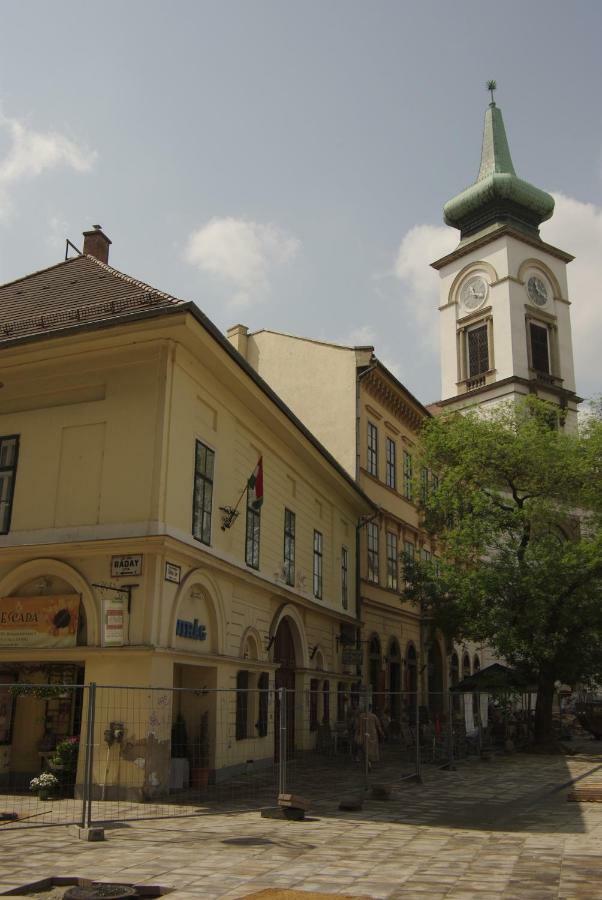 Apartament Novak