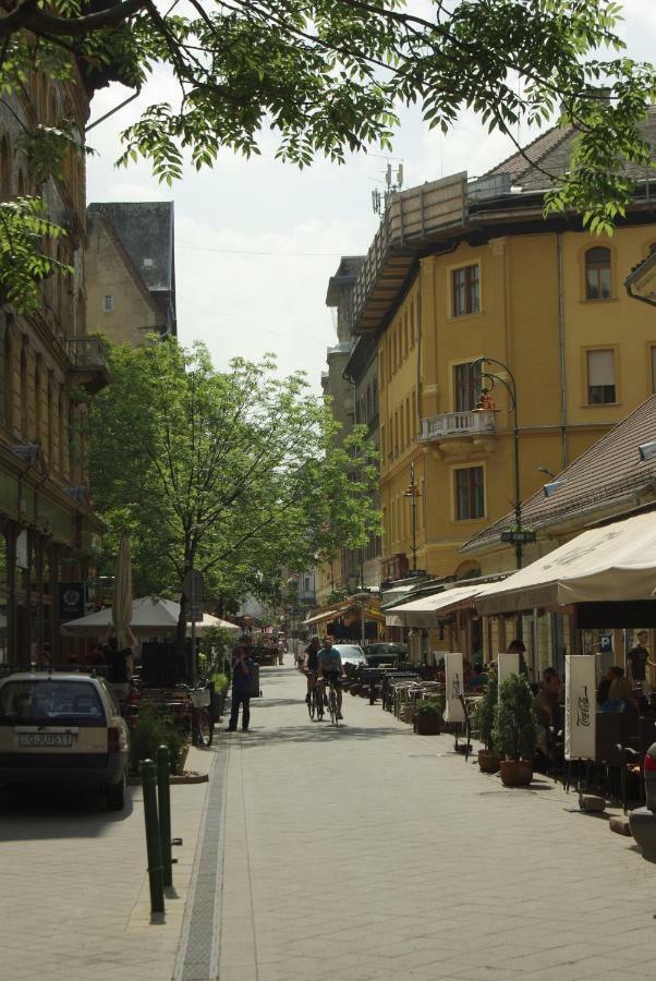 Apartament Novak *
